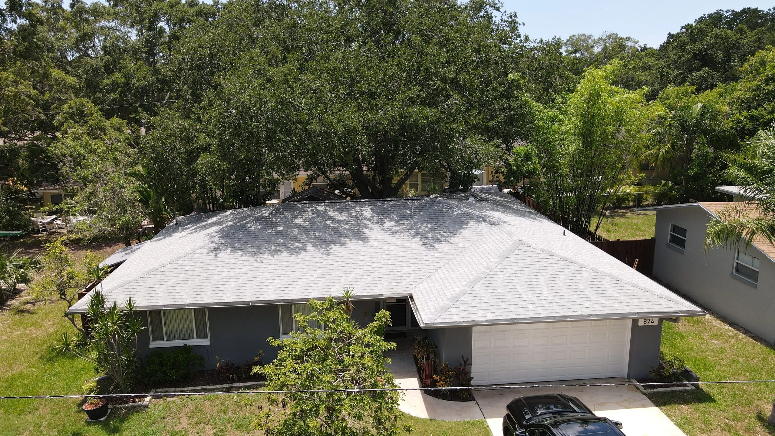 How Tree Damage Can Impact Your Roof After Florida Storms